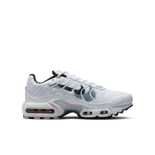Nike TN Air Max Plus "Silver Swoosh White"